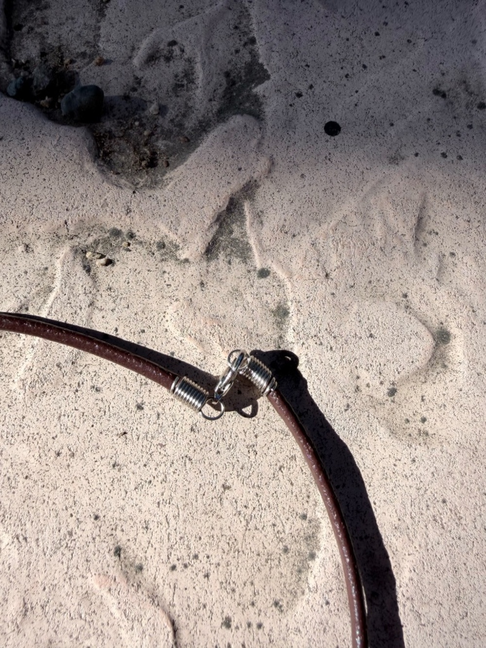 Abalone Shell Necklace - Picture 3 of 3